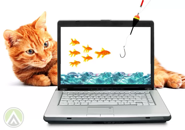 oreange-cat-staring-into-laptop-with-goldfish-and-hook